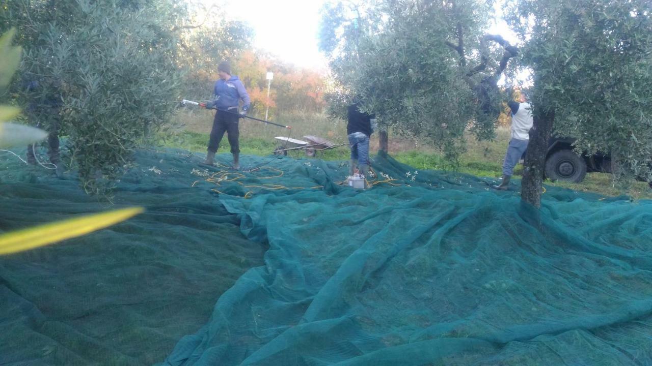 Baduerughe - Valledellago Poggio Mirteto Екстериор снимка